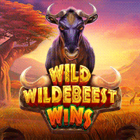 Wild Wildebeest Winsメイン画面 - 6x4リール、ヌーの群れとマルチプライヤーが特徴のサバンナスロット